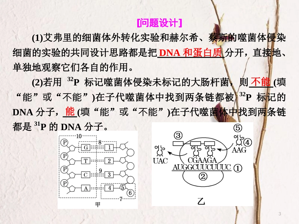 （全国通用）高考生物二轮复习 专题三 遗传 串讲一 遗传的分子基础 第2课时 高考研究课件_第3页