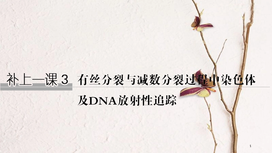 2019版高考生物一轮复习 第四单元 细胞的能量供应与利用 补上一课3 有丝分裂与减数分裂过程中染色体及DNA放射性追踪创新备考课件 中图版_第1页
