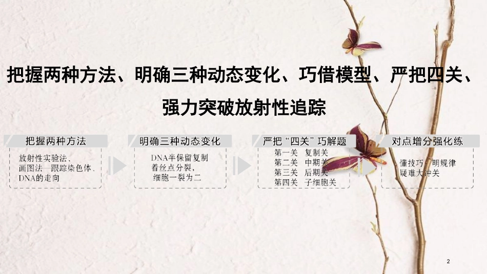 2019版高考生物一轮复习 第四单元 细胞的能量供应与利用 补上一课3 有丝分裂与减数分裂过程中染色体及DNA放射性追踪创新备考课件 中图版_第2页