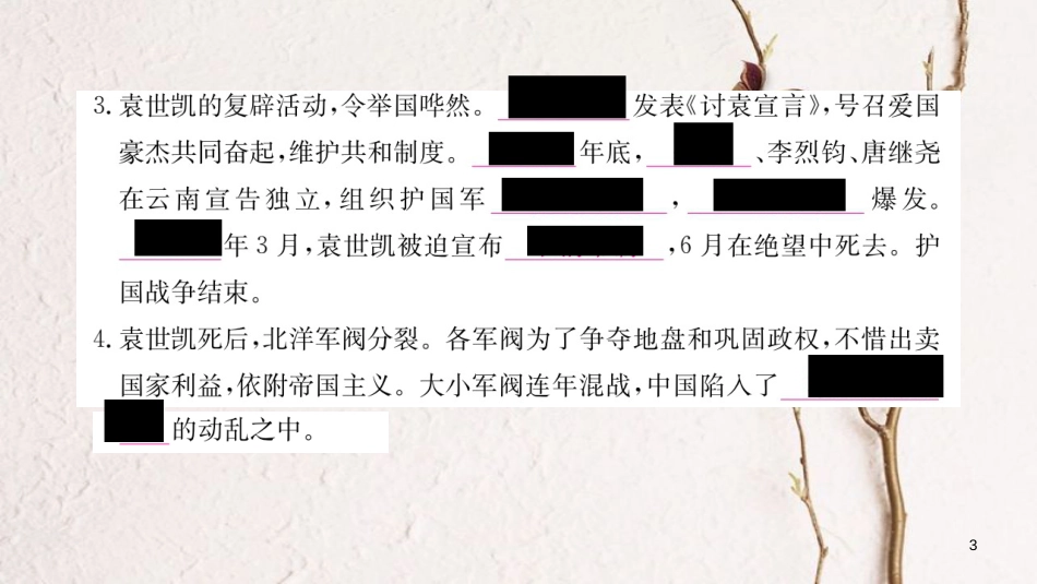 八年级历史上册 第三单元 资产阶级民主革命与中华民国的建立 11 北洋政府的黑暗统治课件 新人教版_第3页