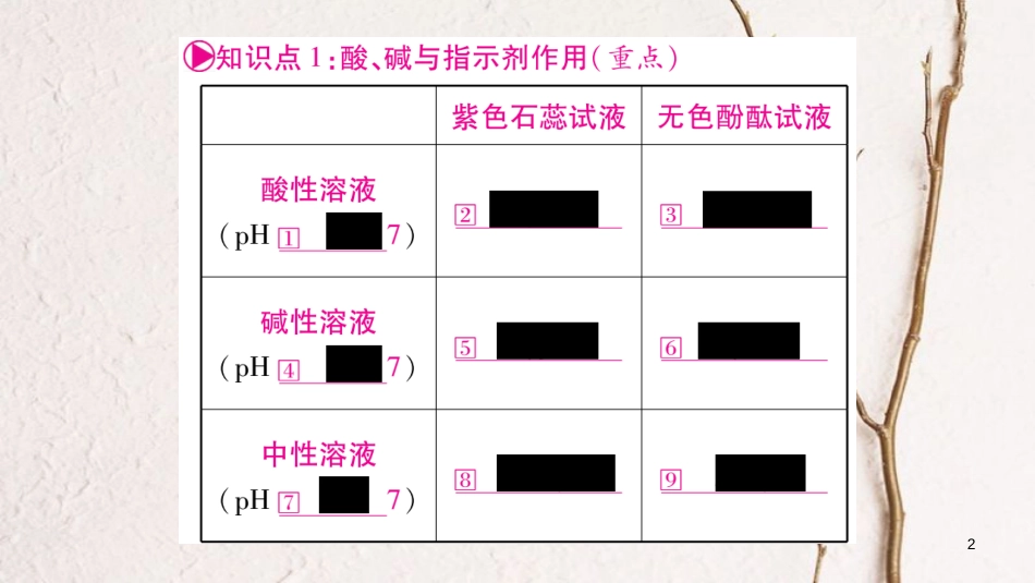 湖南省2018中考化学复习 第1部分 教材系统复习 第10单元 酸和碱课件_第2页