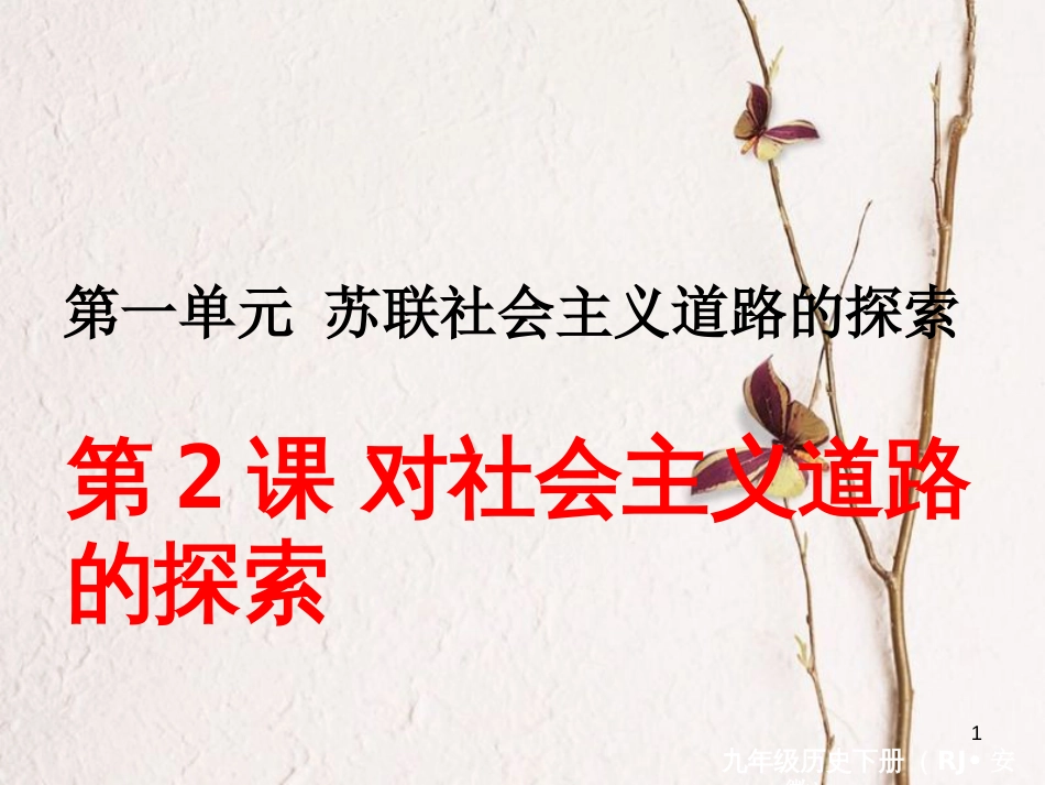 （安徽专版）九年级历史下册 第一单元 苏联社会主义的探索 第2课 对社会主义道路的探索同步测试课件 新人教版_第1页