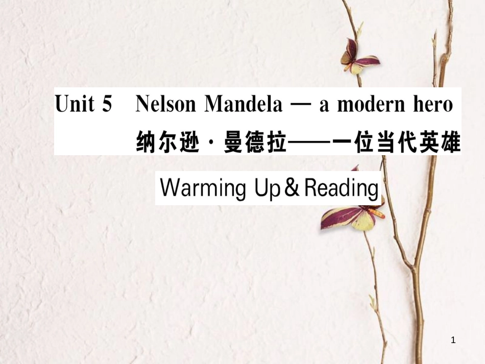 高中英语 Unit 5 Nelson Mandela-a modern hero Warming Up Reading课件 新人教版必修1_第1页