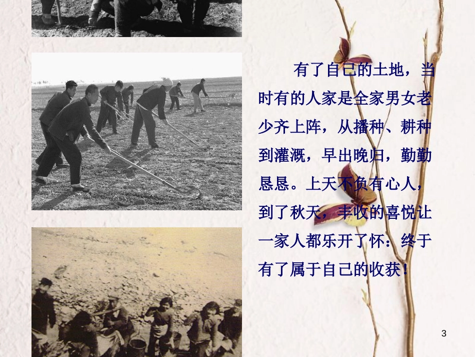 八年级历史下册 第二单元 社会主义制度的建立与社会主义建设的探索 第5课 三大改造课件1 新人教版_第3页