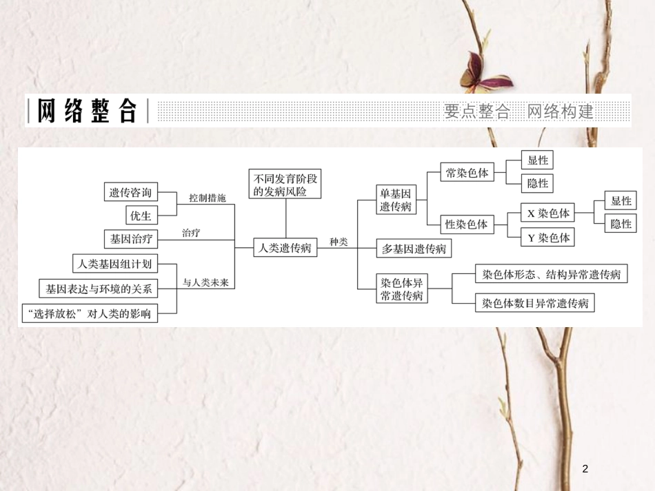 高中生物 第六章 遗传与人类健康章末整合同步备课课件 浙科版必修2_第2页