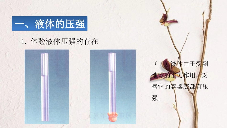 山东省武城县八年级物理下册 9.2液体的压强课件 （新版）新人教版_第2页