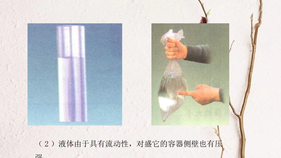 山东省武城县八年级物理下册 9.2液体的压强课件 （新版）新人教版_第3页