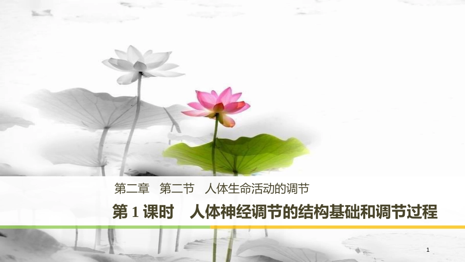 高中生物 第2章 细胞的化学组成 2.2.1 人体神经调节的结构基础和调节过程课件 苏教版必修1_第1页