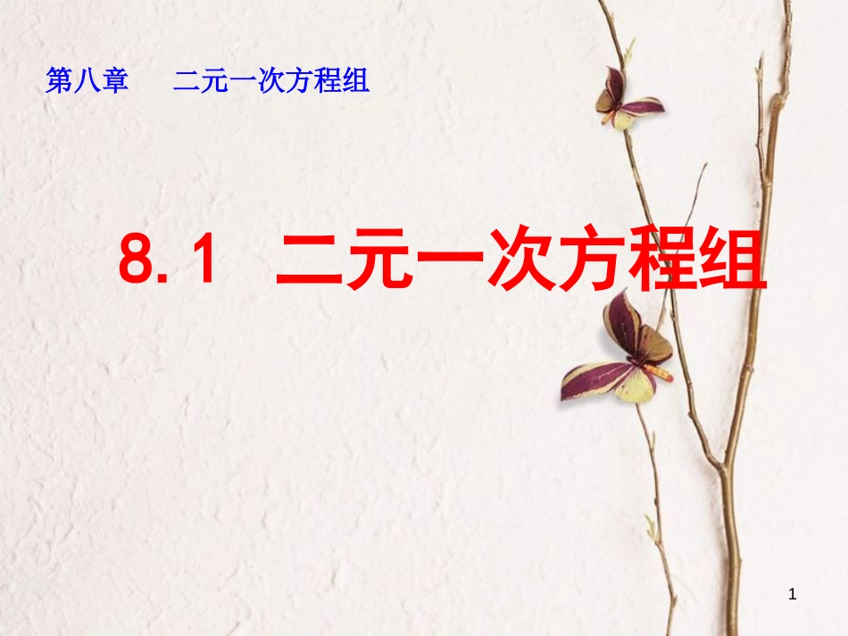 山东省诸城市桃林镇七年级数学下册 第8章 二元一次方程组 8.1 二元一次方程组课件 （新版）新人教版_第1页