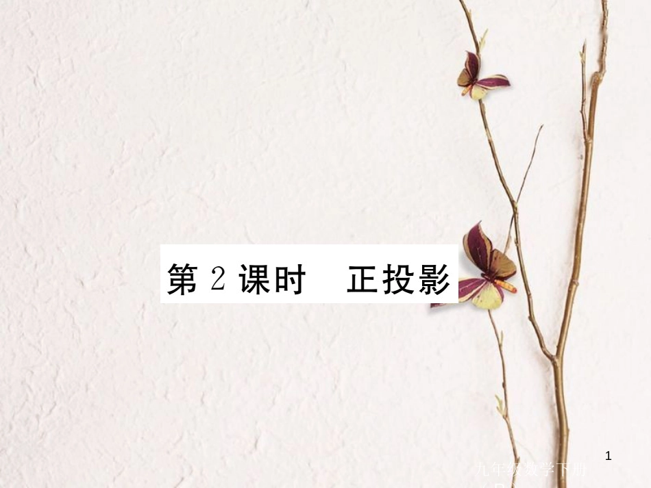 江西省2018年春九年级数学下册 第二十九章 投影与视图 29.1 第2课时 正投影练习课件 （新版）新人教版_第1页