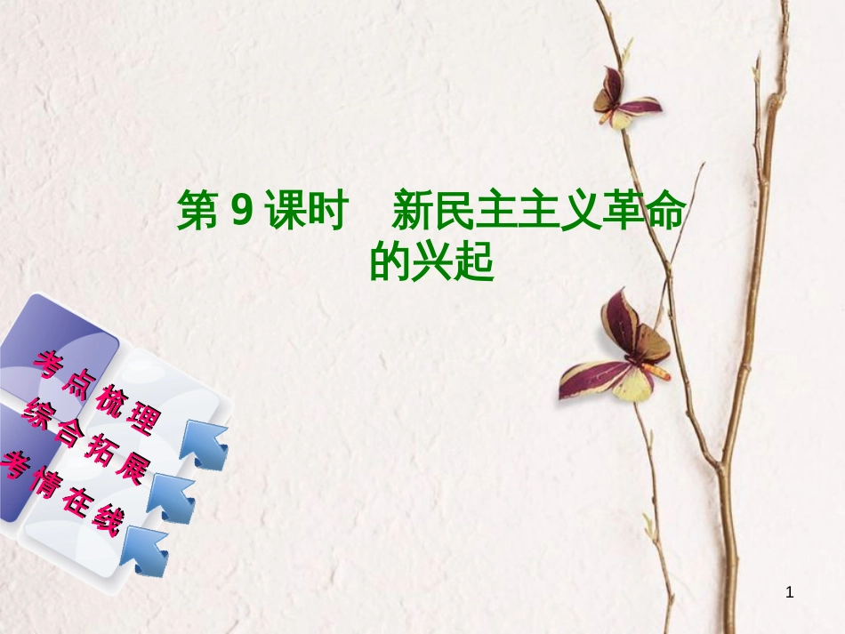 湖南省2018年中考历史复习 教材梳理 第二单元 中国近代史 第9课时 新民主主义革命的兴起课件_第1页