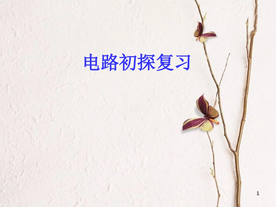 江苏省东海县九年级物理上册 13 电路初探复习课件 （新版）苏科版_第1页