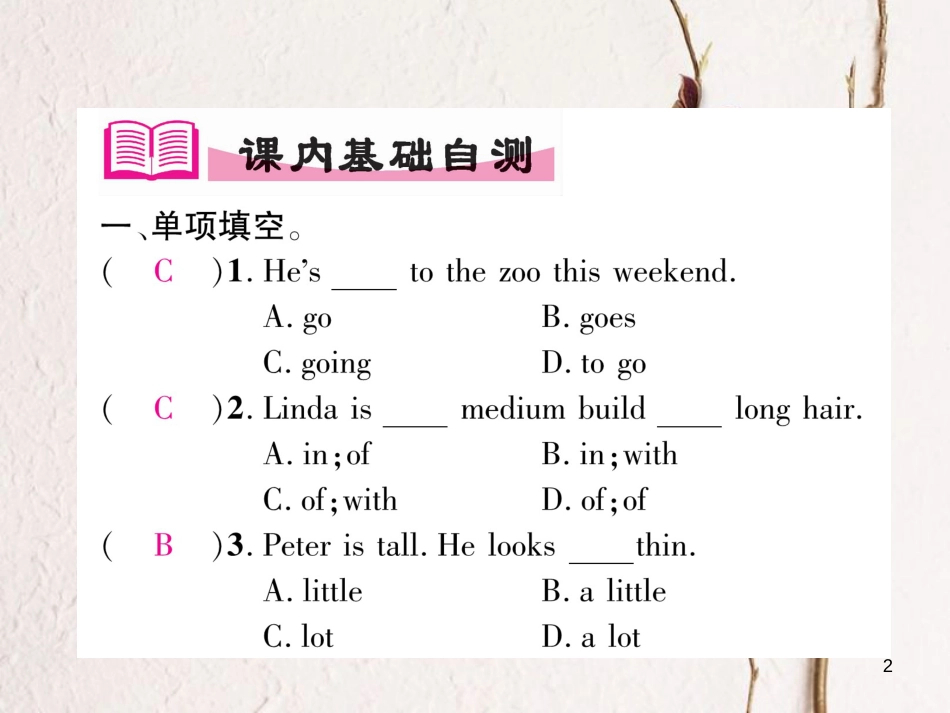 （安徽专版）七年级英语下册 Unit 9 What does he look like（第2课时）语法专练（Grammar Focus-3d）习题课件 （新版）人教新目标版_第2页