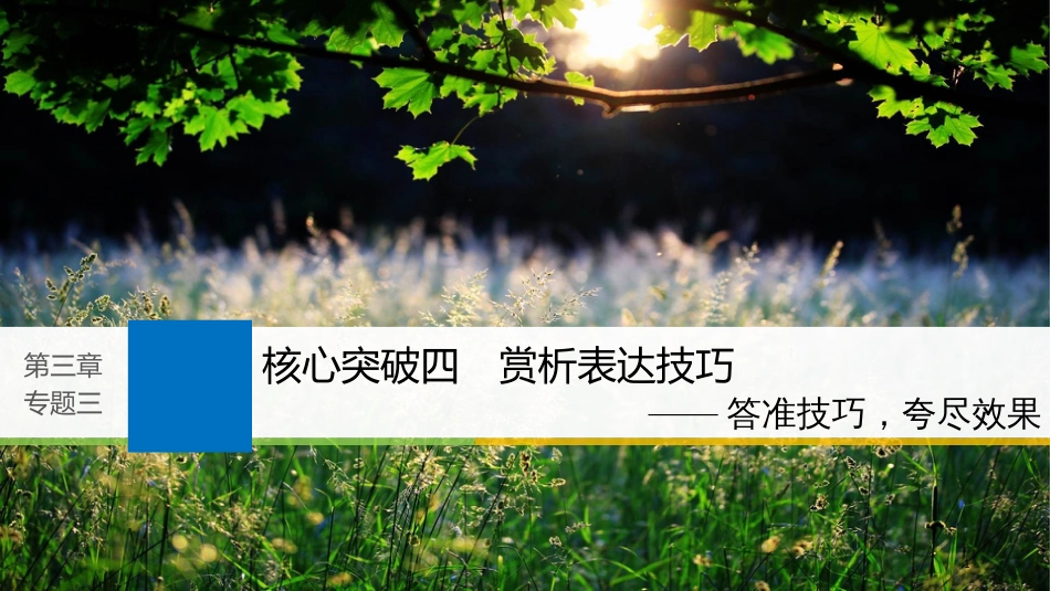 2019届高考语文一轮复习 第三章 文学类文本阅读 散文阅读-基于理解与感悟的审美鉴赏阅读 专题三 理解必备知识，掌握关键能力 核心突破四 赏析表达技巧课件_第1页