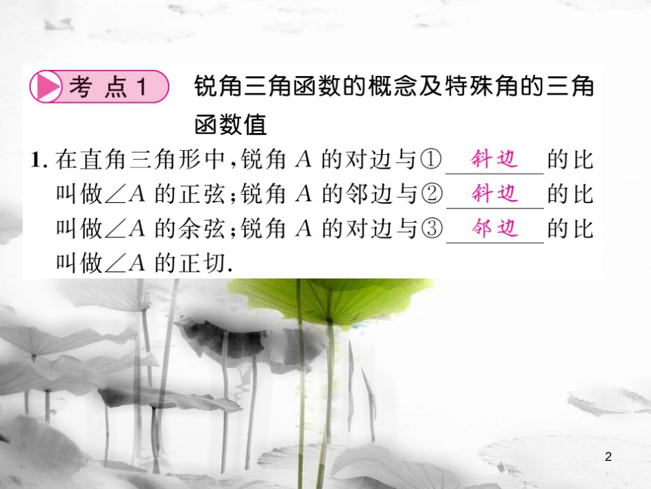 春中考数学总复习 第一轮 同步演练 夯实基础 第二部分 图形与空间 第4章 图形的初步认识与三角形 第19节 锐角三角形及解直角三角形课件 新人教版_第2页