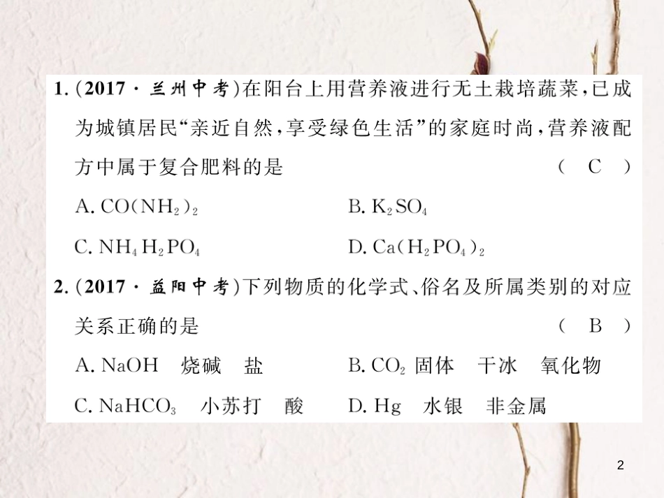 九年级化学下册 第11单元 盐 化肥达标测试题作业课件 （新版）新人教版_第2页