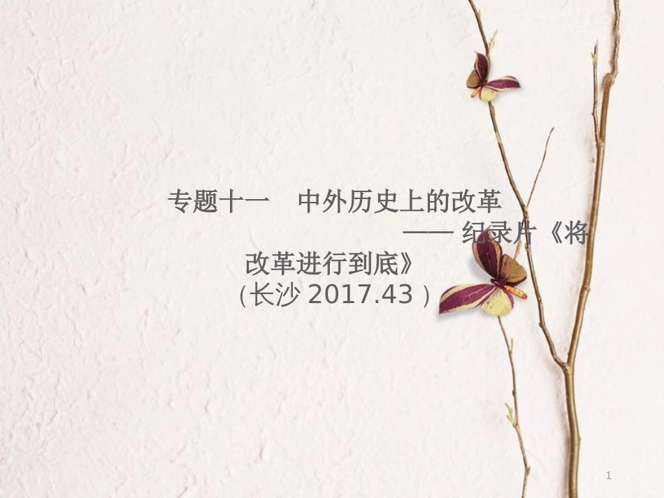 湖南省中考历史总复习专题十一中外历史上的改革—纪录片《将改革进行到底》课件新人教版_第1页
