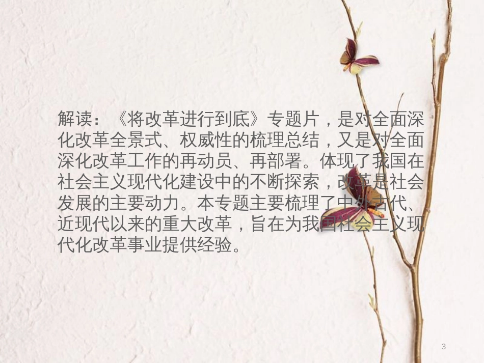 湖南省中考历史总复习专题十一中外历史上的改革—纪录片《将改革进行到底》课件新人教版_第3页