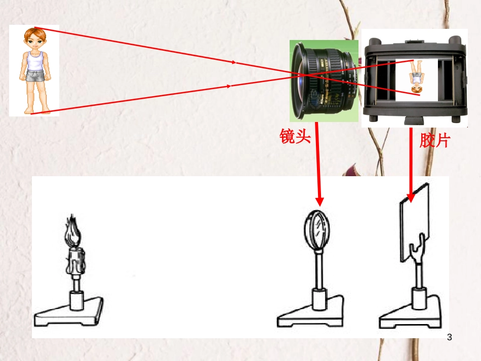 八年级物理上册 4.4《照相机与眼睛 视力矫正》课件3 （新版）苏科版_第3页