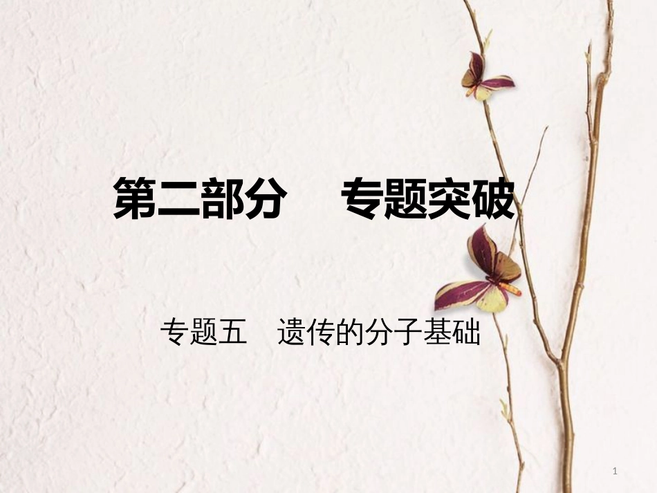 高考生物二轮复习 第二部分 专题五 遗传的分子基础课件_第1页