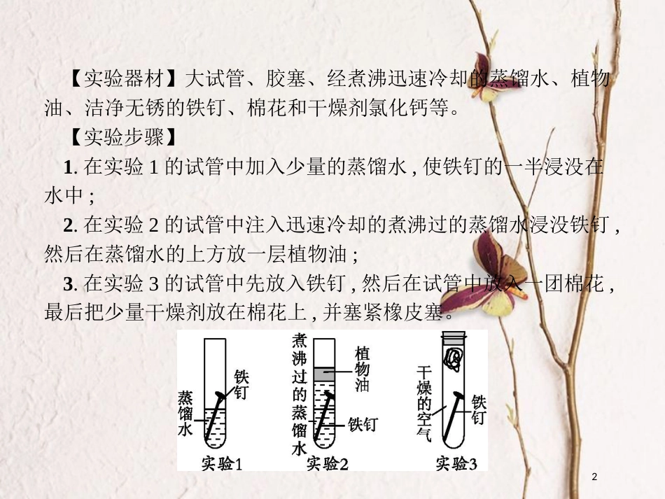（安徽专版）中考化学总复习 实验8 铁钉锈蚀条件的探究课件_第2页
