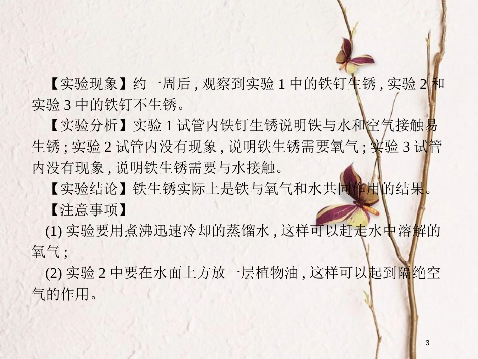 （安徽专版）中考化学总复习 实验8 铁钉锈蚀条件的探究课件_第3页