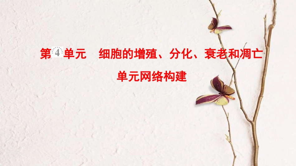 2019版高考生物一轮复习 第4单元 细胞的增殖、分化、衰老和凋亡单元网络构建课件 苏教版_第1页