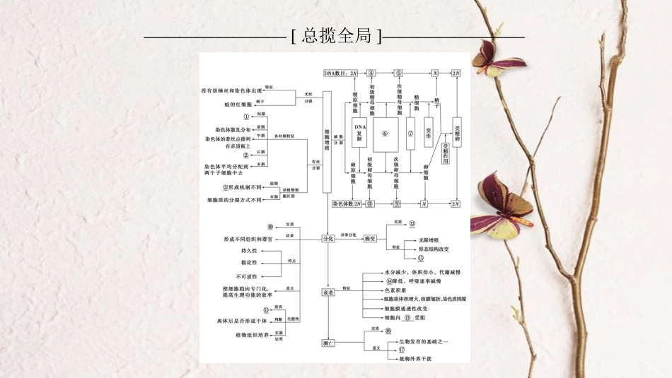2019版高考生物一轮复习 第4单元 细胞的增殖、分化、衰老和凋亡单元网络构建课件 苏教版_第2页