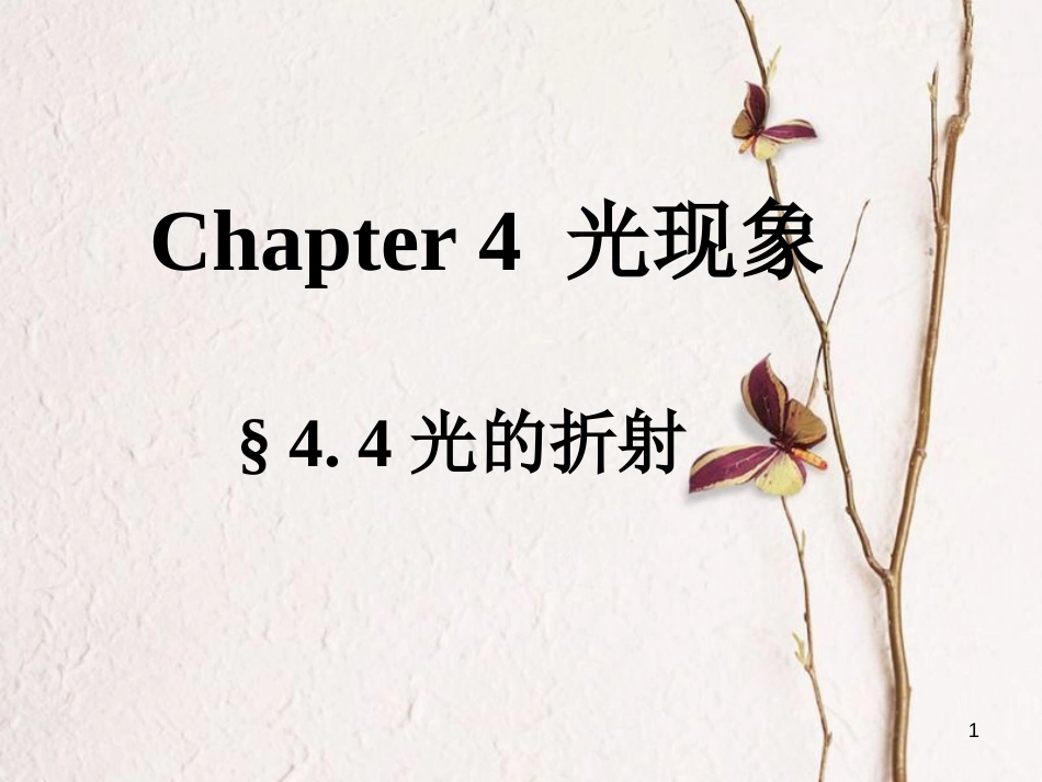 广东省佛山市八年级物理上册 4.4光的折射课件 （新版）新人教版_第1页