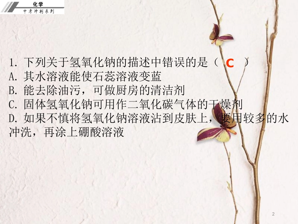 中考化学冲刺 第17讲 常见的碱习题课件_第2页
