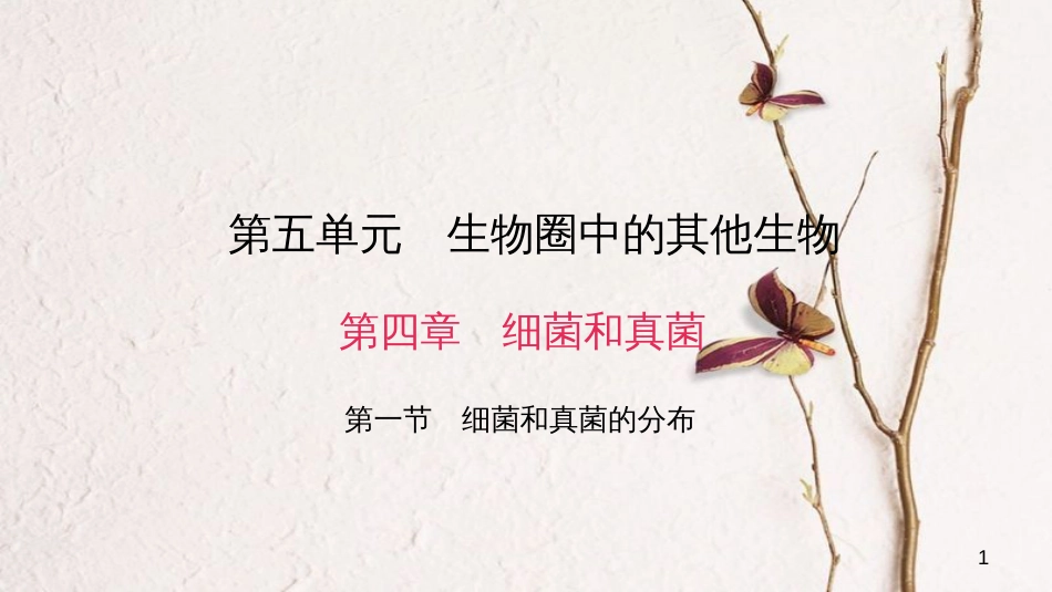 八年级生物上册 第五单元 第四章 第一节 细菌和真菌的分布课件 （新版）新人教版_第1页