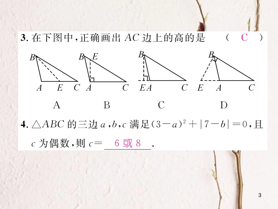 七年级数学下册 第4章 三角形重难点突破作业课件 （新版）北师大版_第3页