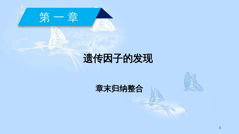 高中生物 第1章 遗传因子的发现归纳整合课件 新人教版必修2_第2页