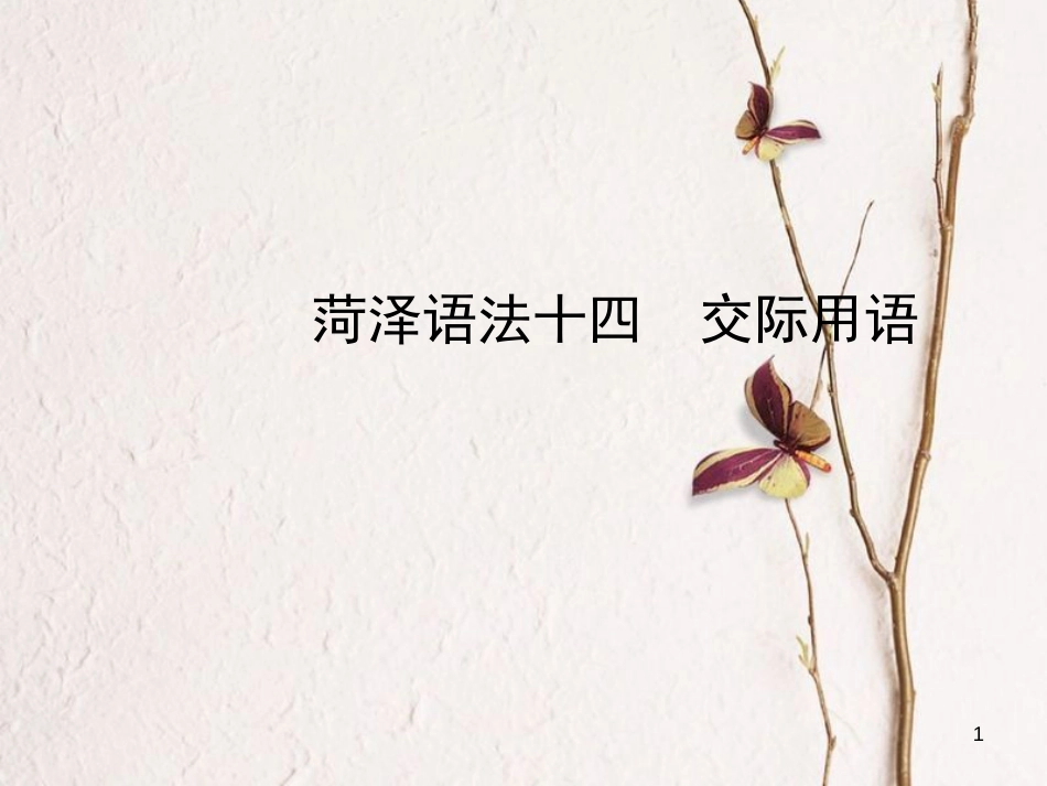 山东省菏泽市中考英语总复习 语法十四 交际用语课件_第1页