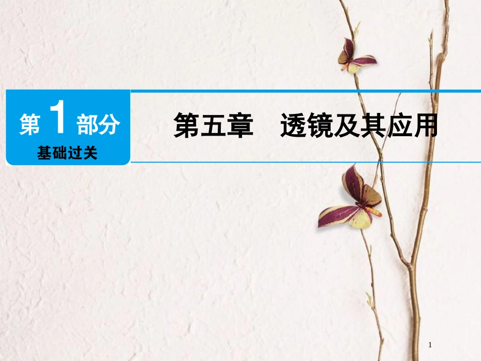 广东省深圳市2018年中考物理总复习 第五章 透镜及其应用课件_第1页