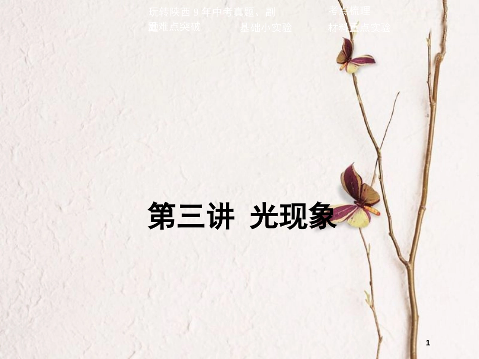 中考物理二轮复习 第三讲 光现象课件_第1页