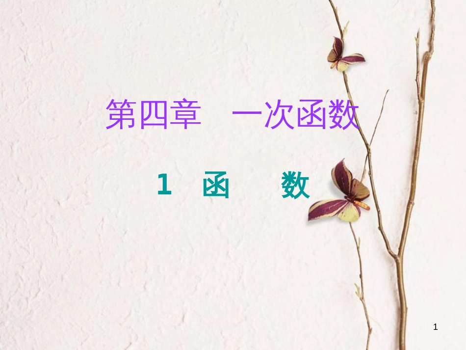 八年级数学上册 第四章 一次函数 1 函数课件 （新版）北师大版_第1页