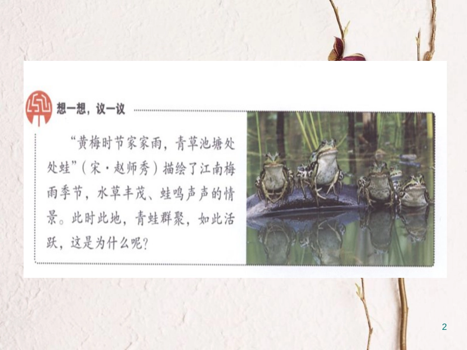 八年级生物下册 7.1.3两栖动物的生殖和发育课件1 （新版）新人教版_第2页
