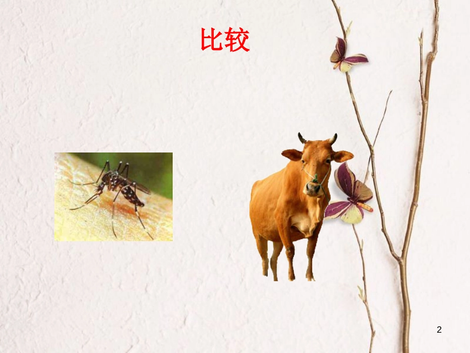 八年级物理上册 1.2《乐音的特性》课件1 （新版）苏科版_第2页