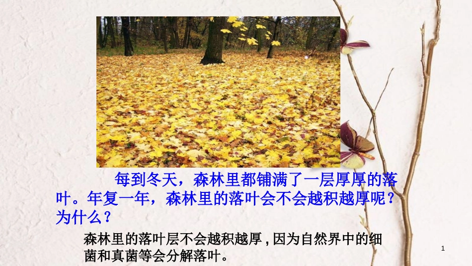 八年级生物上册 第五单元 第四章 第四节《细菌和真菌在自然界中的作用》课件 （新版）新人教版_第1页