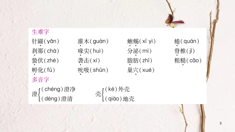 （玉林专版）七年级语文下册 第四单元 15 珍奇的动物——针鼹习题课件 语文版_第3页