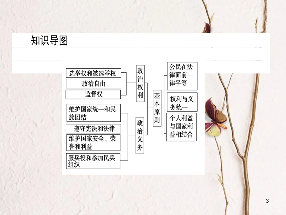 高中政治 1.1.2政治权利与义务：参与政治生活的基础课件 新人教版必修2_第3页