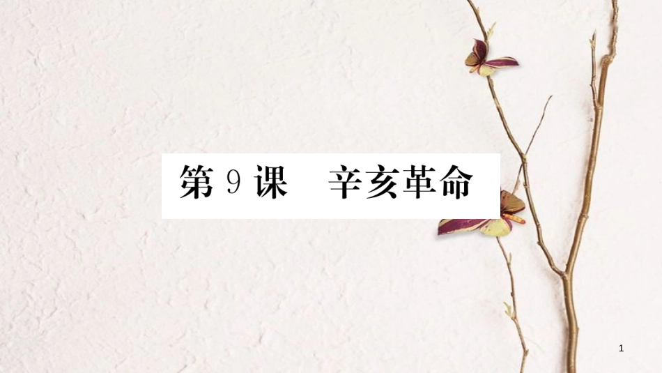 八年级历史上册 第三单元 资产阶级民主革命与中华民国的建立 9 辛亥革命课件 新人教版_第1页