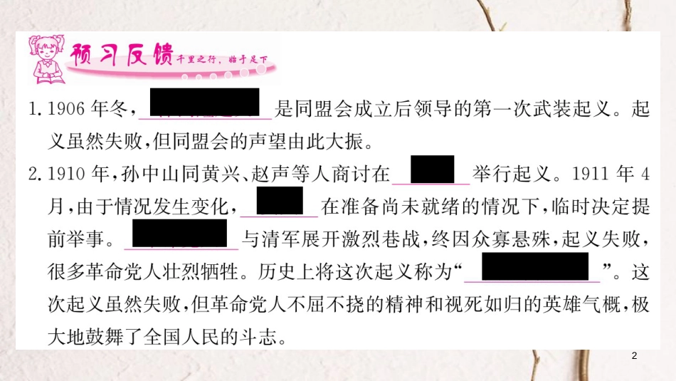 八年级历史上册 第三单元 资产阶级民主革命与中华民国的建立 9 辛亥革命课件 新人教版_第2页