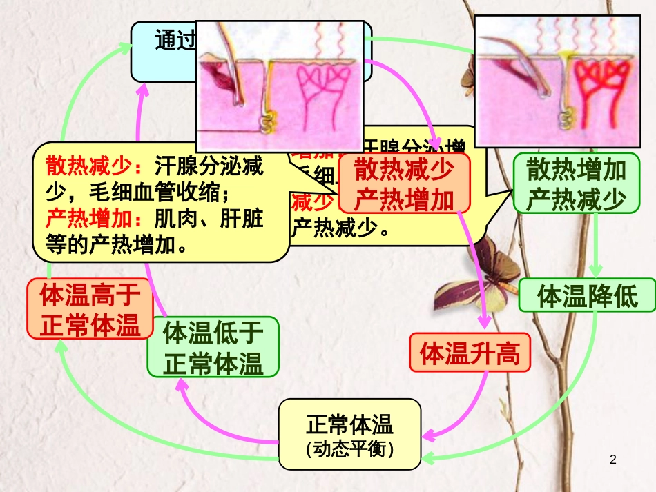 江苏省淮安市2017年高中生物 第二章 动物和人体生命活动的调节 2.4 免疫调节课件课件 新人教版必修3_第2页