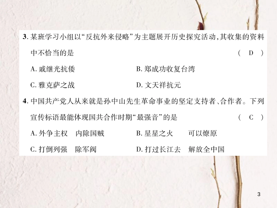 （青海专版）中考历史总复习 毕业升学考试模拟试卷（三）课件_第3页