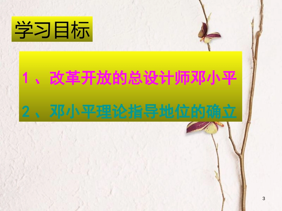 辽宁省沈阳市法库县八年级历史下册第10课建设有中国特色的社会主义课件新人教版_第3页
