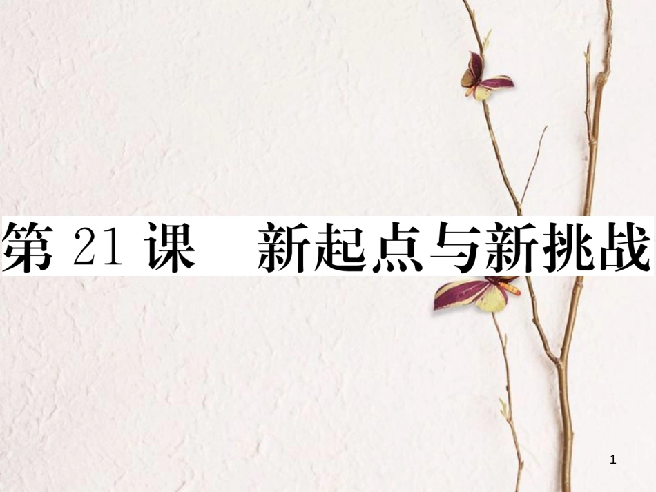 八年级历史下册 第五单元 实现中华民族伟大复兴 第21课 新起点与新挑战习题课件 岳麓版_第1页