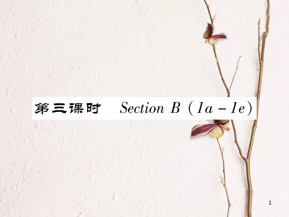 （安徽专版）七年级英语下册 Unit 9 What does he look like（第3课时）Section B（1a-1e）习题课件 （新版）人教新目标版_第1页