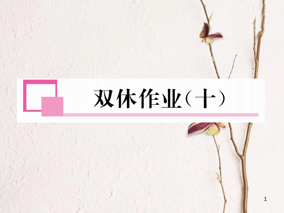 九年级数学下册 双休作业（10）作业课件 （新版）湘教版_第1页